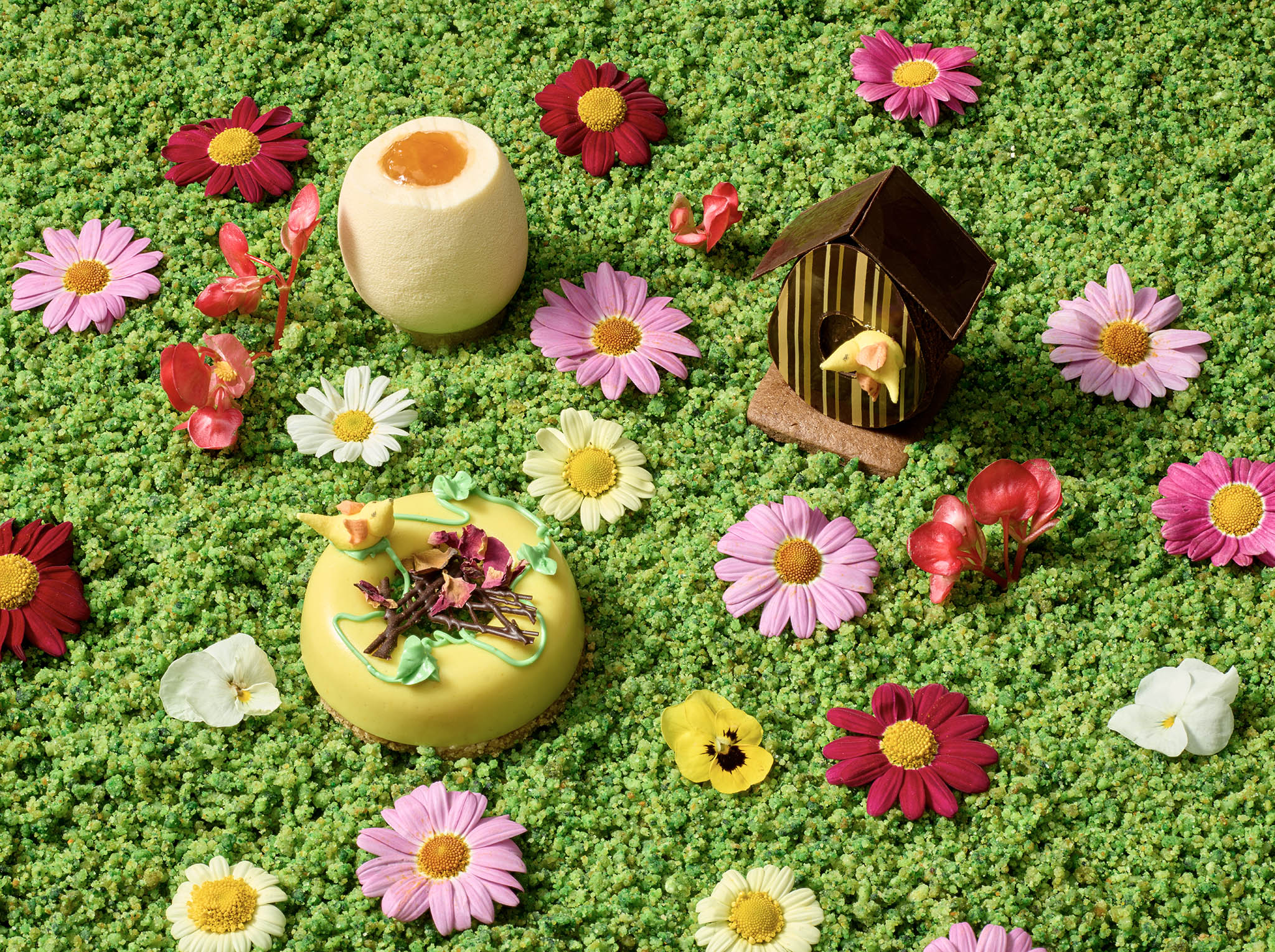 Vegan desserts on a green crumb and flower background. Studio photography in Hertfordshire near london