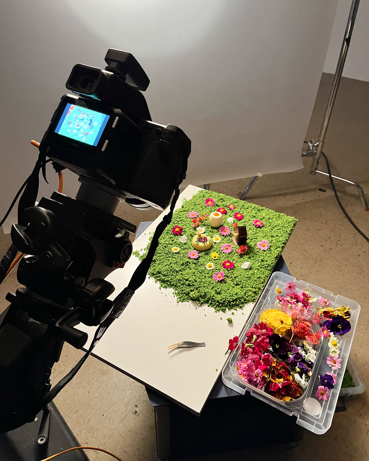 BTS of food photography shoot Vegan Desserts book