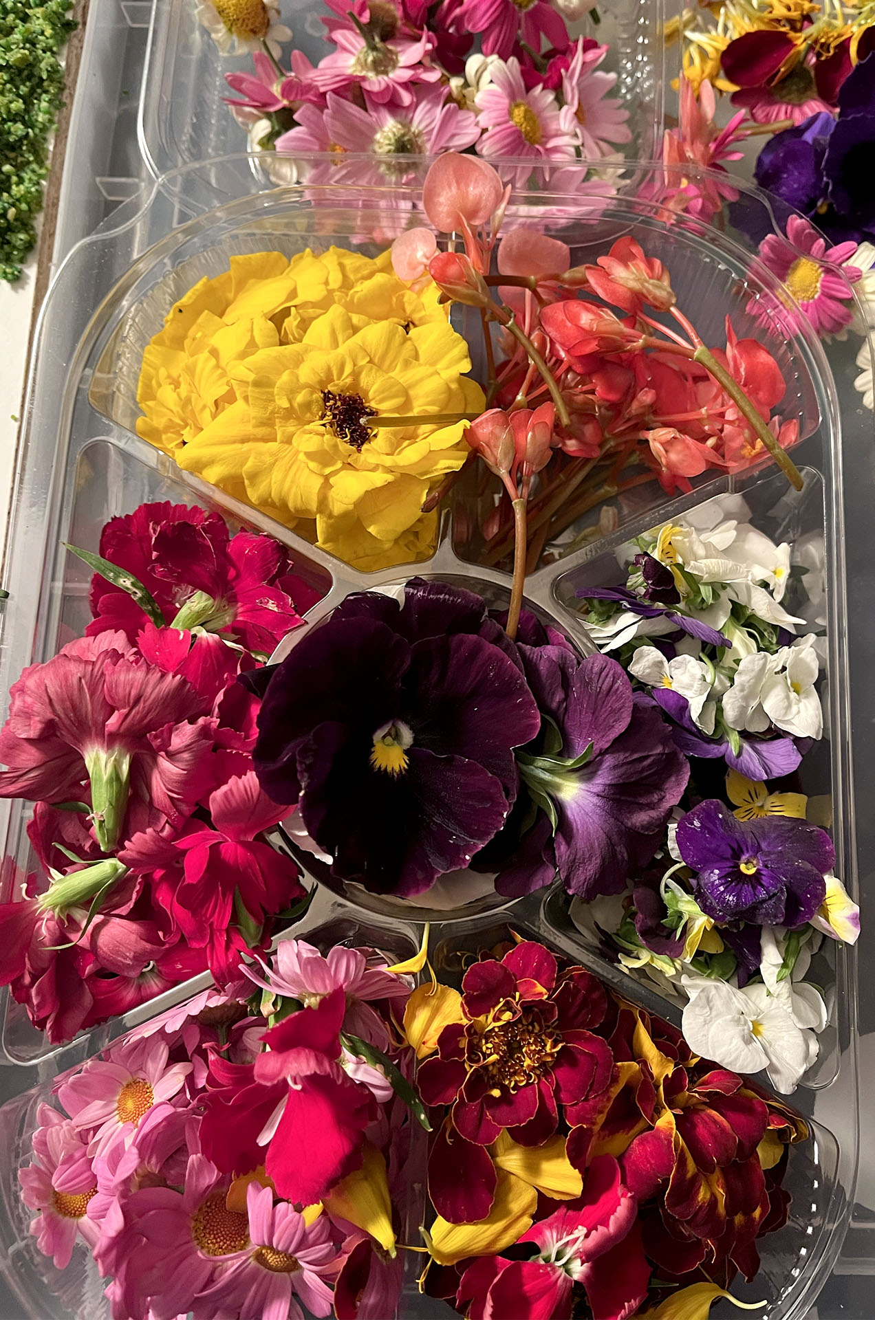 Edible flowers in a tray BTS of a food photography shoot Uk London Hertfordshire