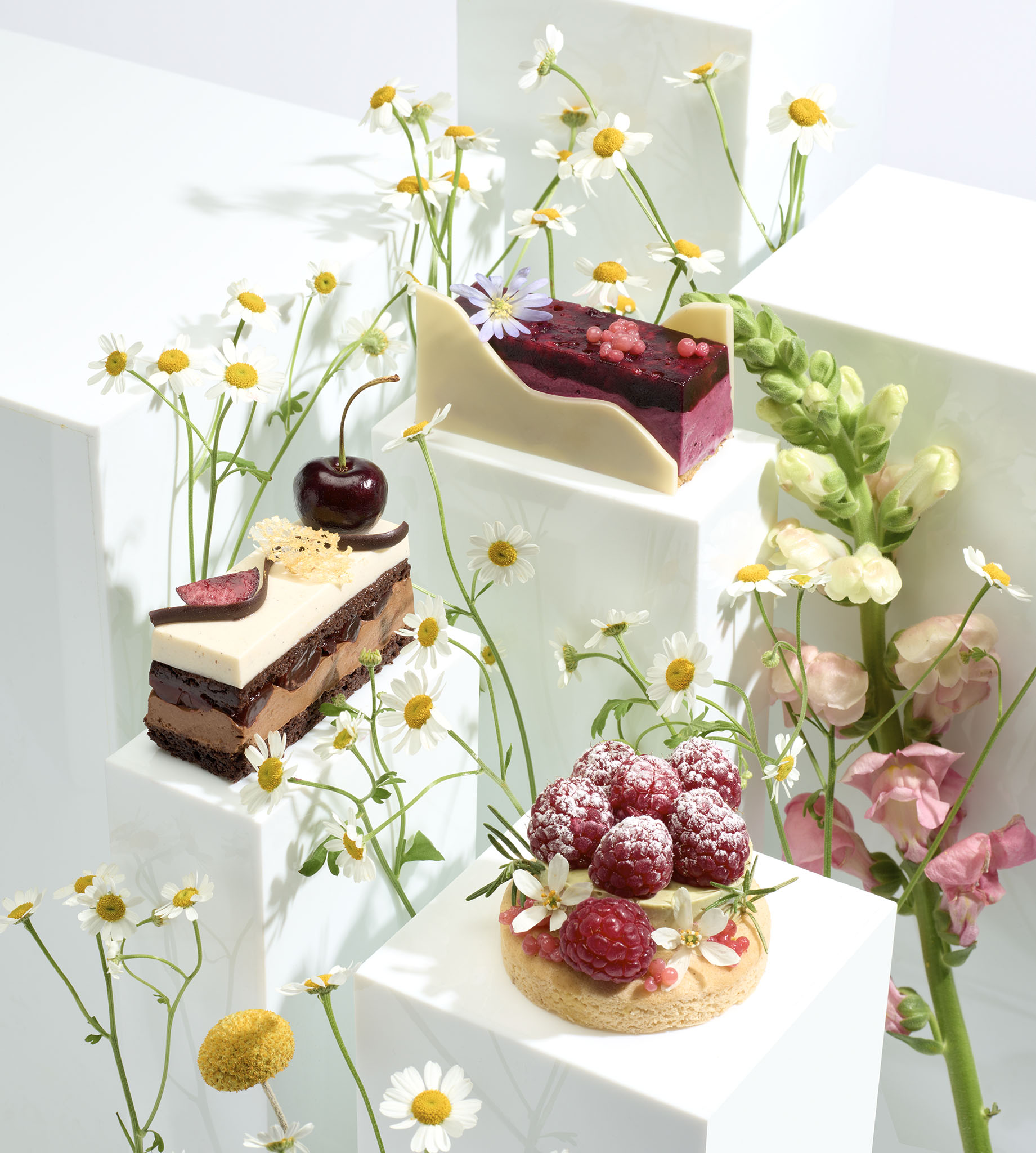 Food photography of Vegan cakes 